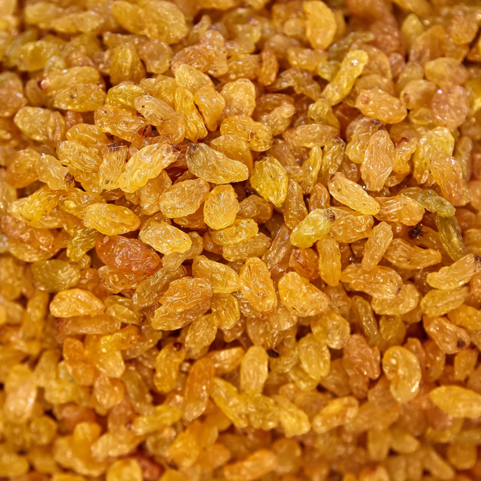 Hansrawati Premium Round Indian Resin (किसमिश)