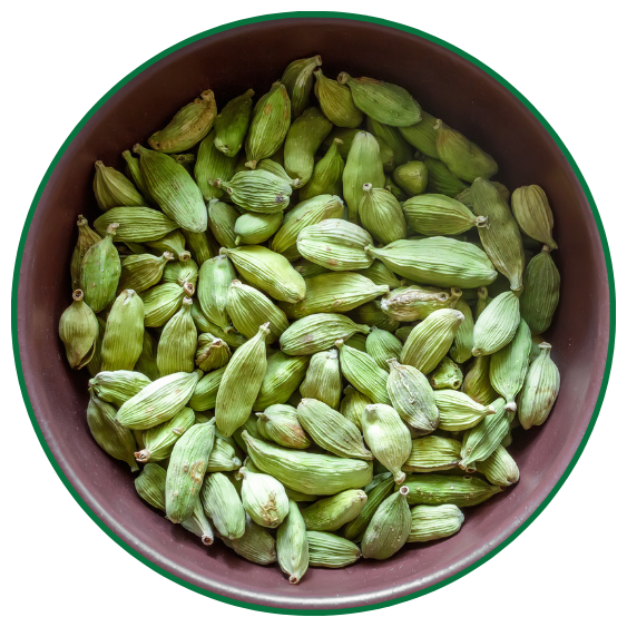 Cardamom