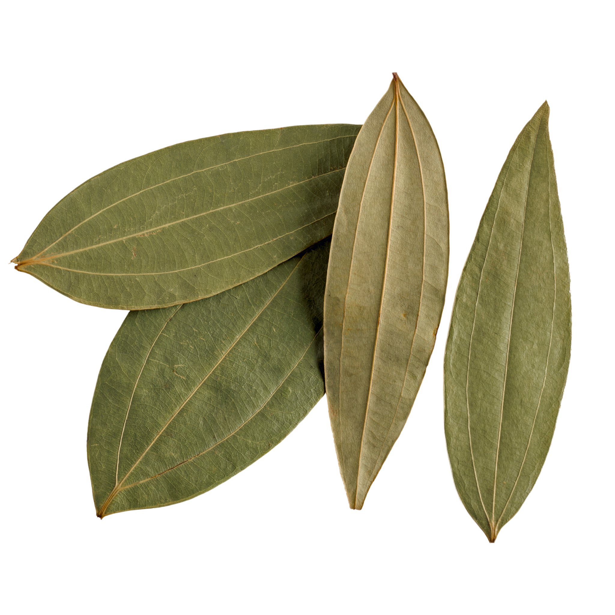 Hansrawati Premium Bay Leaf (तेजपत्ता)