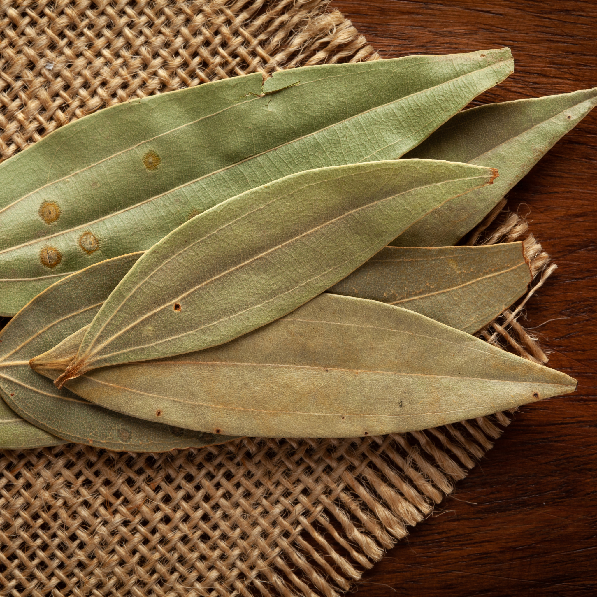 Hansrawati Premium Bay Leaf (तेजपत्ता)