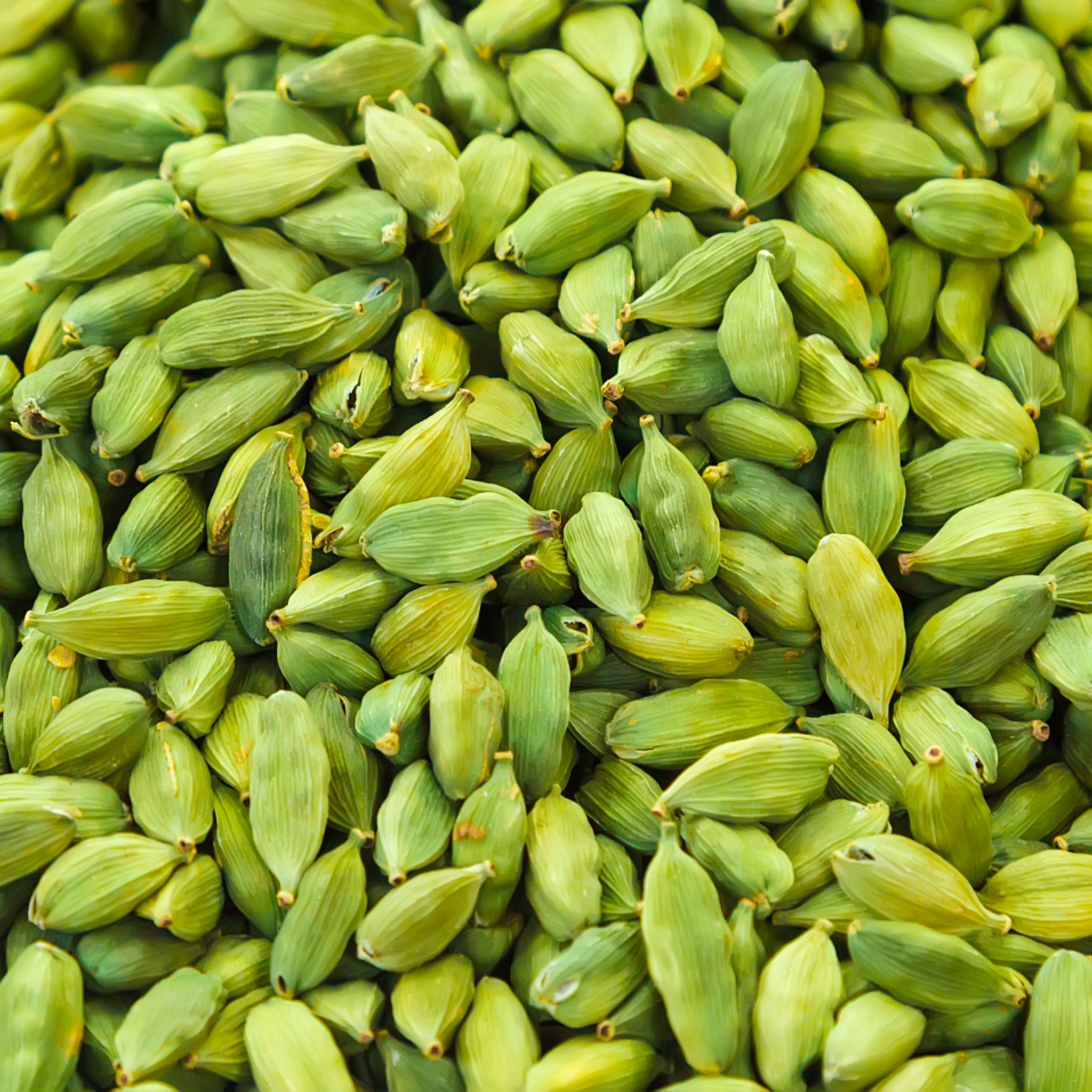 Hansrawati Premium Green Cardamom (छोटी इलायची)