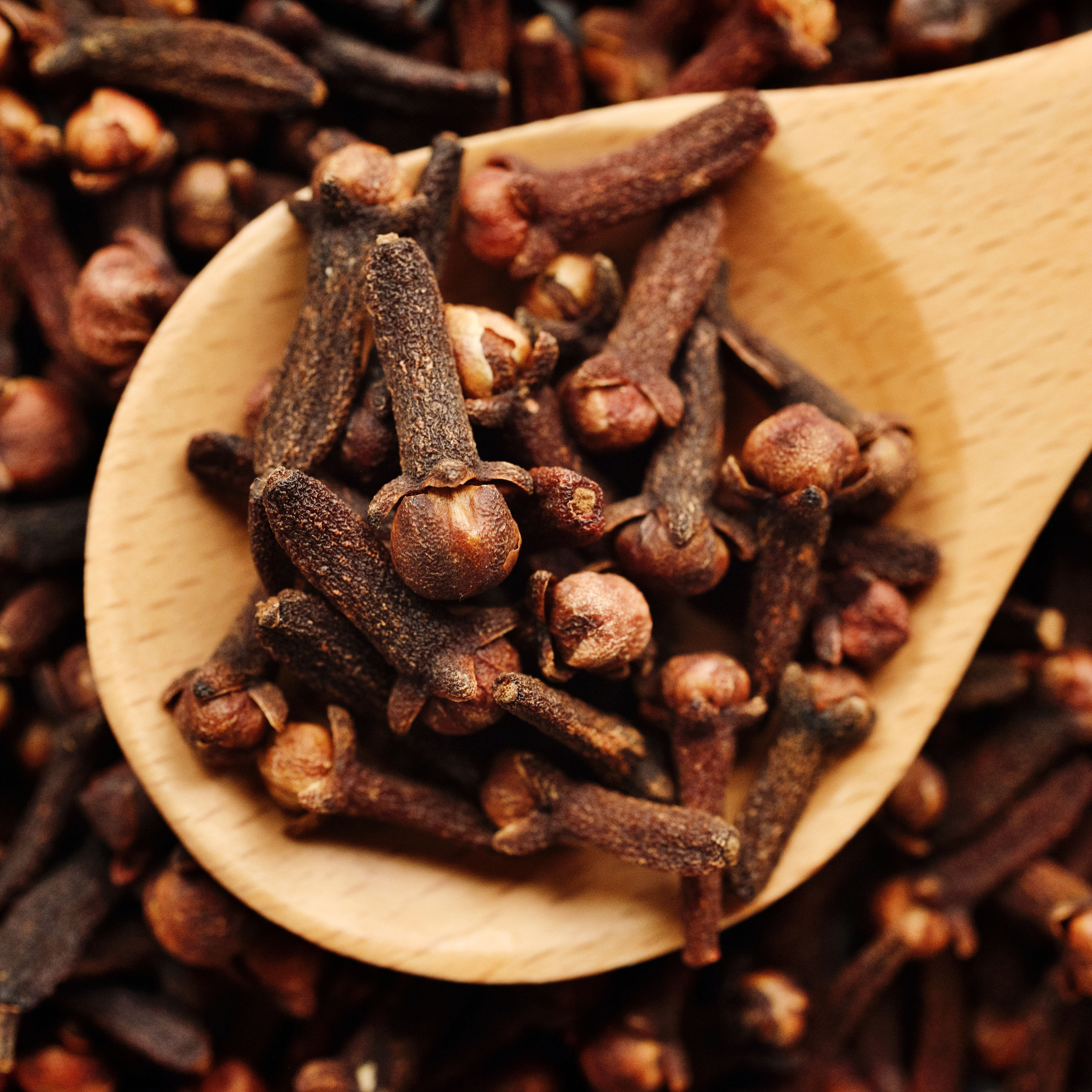 Hansrawati Premium Clove (लौंग)