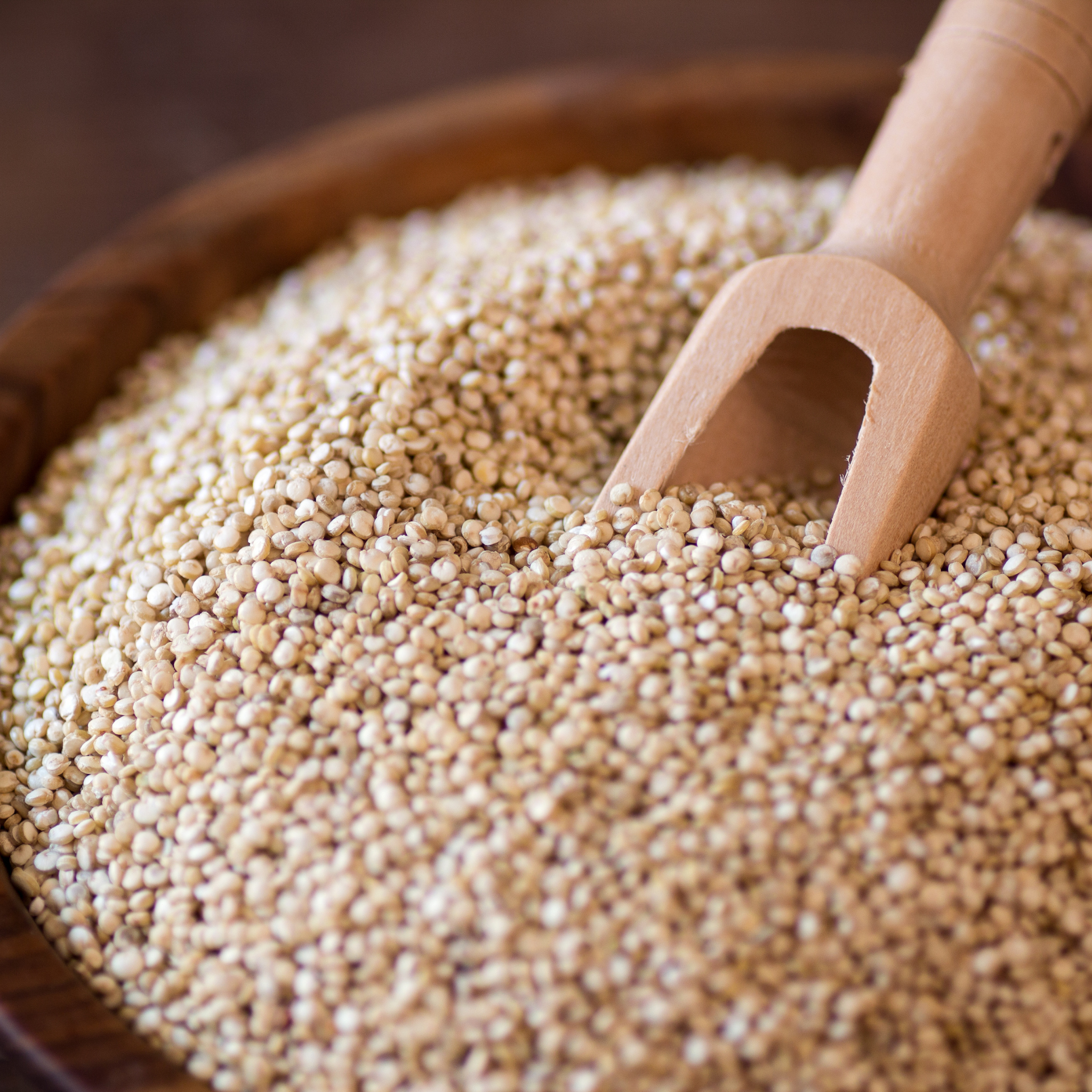 Hansrawati Premium Quinoa Seed