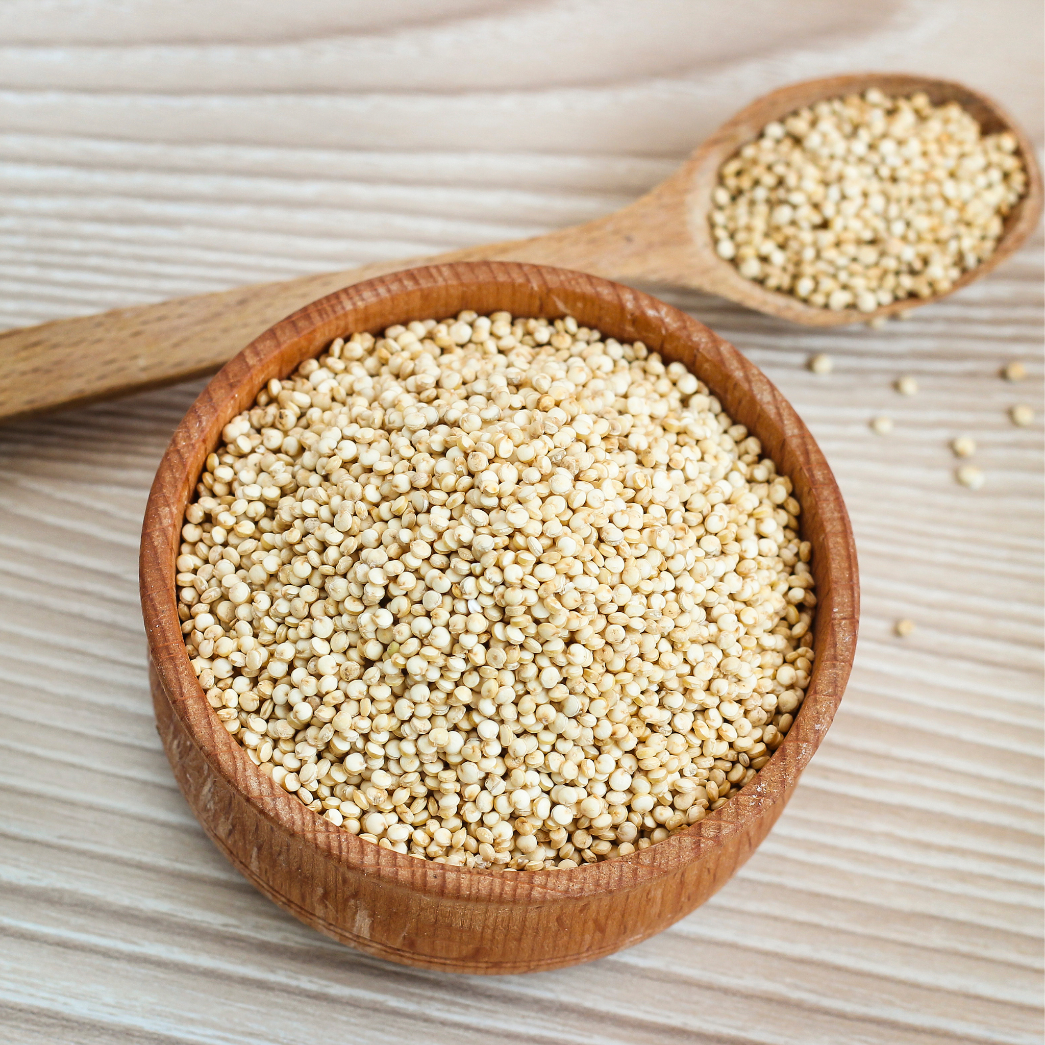 Hansrawati Premium Quinoa Seed