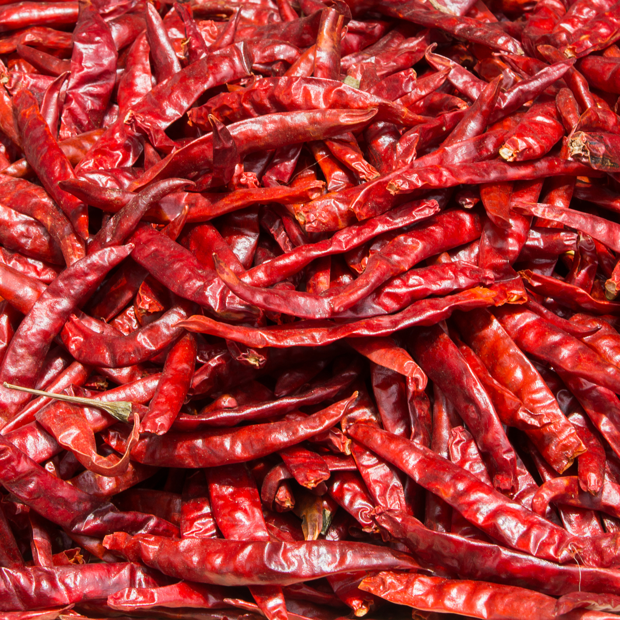 Hansrawati Premium Red chilli (सुखा लाल मिर्चा)